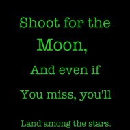 Shoot for the moon, even if you miss you will land among the stars