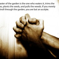 Stewardship Quotes - The master of the garden is the one who waters it, trims the branches