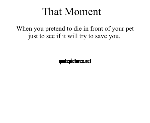 That moment when you pretend to die in front of your pet