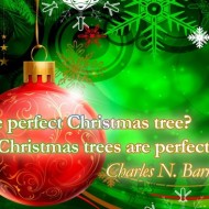 The perfect Christmas tree