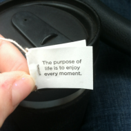 The purpose of life is to enjoy every moment