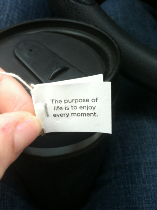 The purpose of life is to enjoy every moment