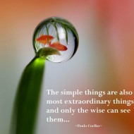 The simple things are also the most extraordinary things