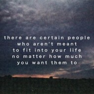 There are certain people who aren't mean to fit into your life nomatter how much you want them to