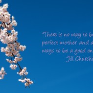 There is no way to be a perfect mother and a million ways to be a good one