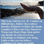 This is my wish for you