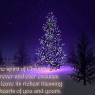 This, the spirit of christmas, that forever and ever endures