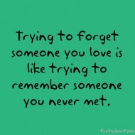 Trying to forget someone you love is like trying to remember someone you never met