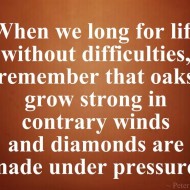 When we long for life without difficulties, remember that oaks grow strong in contrary winds
