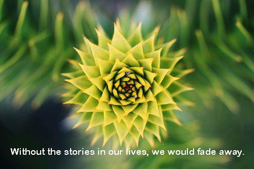 Without the stories in our lives, we would fade away