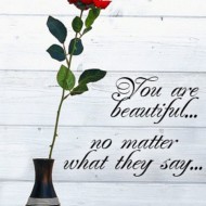 You are beautiful no matter what they say