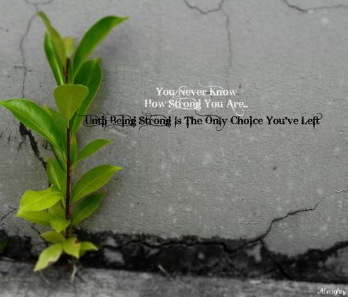 You never know how strong you are