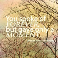 You spoke of forever but gave only a moment