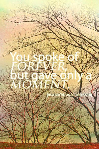 You spoke of forever but gave only a moment