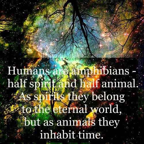 humans are amphibians