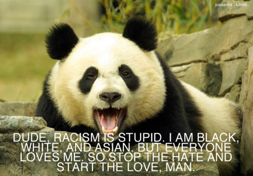 Racism is stupid Racism is stupid