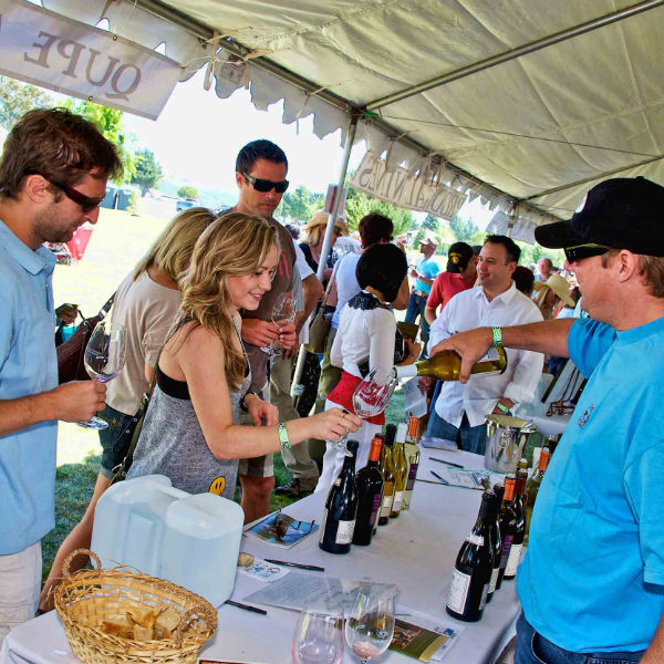 Home Wine Tours Santa Barbara