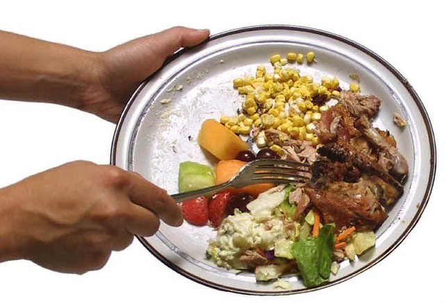 Food Scraps