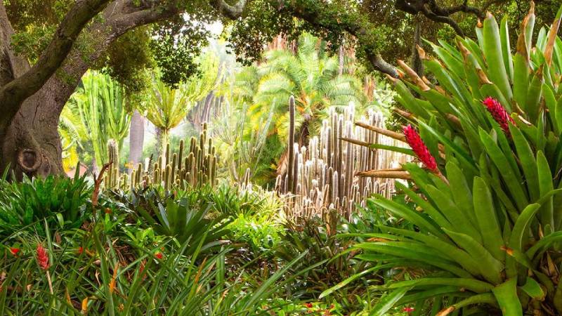 <p style="text-align: center;">4. Lotusland</p>