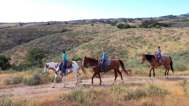 <p style="text-align: center;">4. Vino Vaqueros Horseback Riding</p>