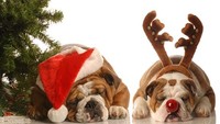 Creating Holiday Memories at Home 