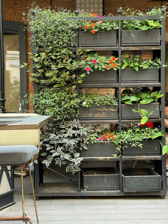 Helpful hints on outdoor plants