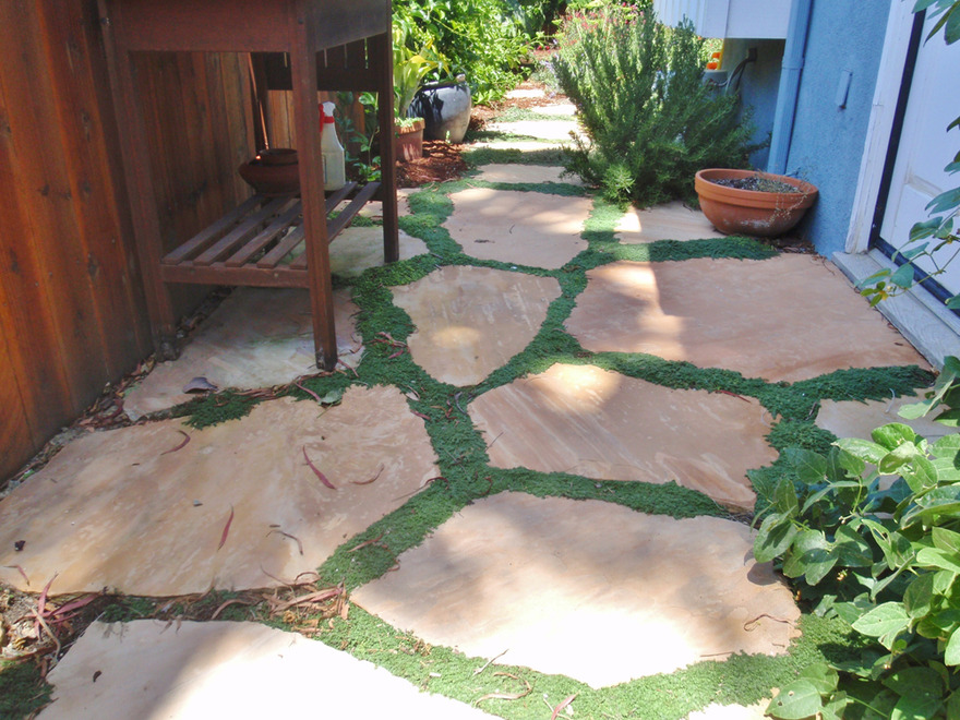 Wilson Environmental Contracting