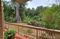 Back patio and views
