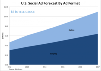 Social Media Advertising
