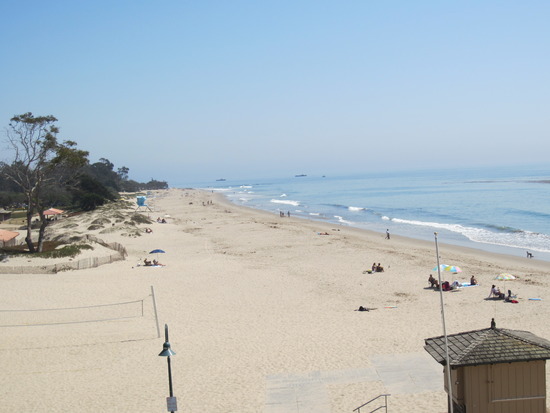 Beach View Condo #301