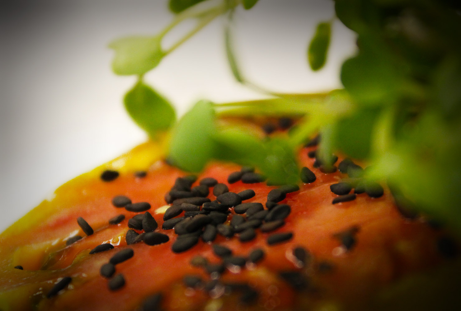 Hospitality Food Service Industry Consultants Restaurant Consulting