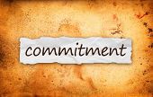 Psychotherapy is a commitment to the experience Psychotherapy is a commitment to the experience