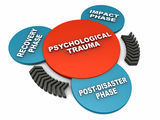 An individual Therapeutic approach to each PTSD client is the most effective