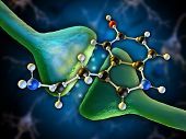 There appears to be a genetic link to Bipolar Disorder