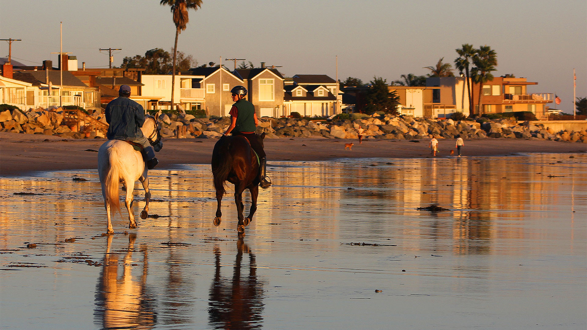 Carpinteria Real Estate Broker Murphyking Real Estate