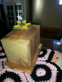 Daisy's Urn