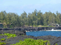 Hawaiian Vacant Lots-275682 Hawaiian Vacant Lots-275682