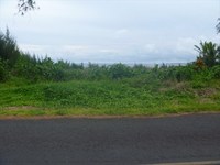 Hawaiian Vacant Lots-268646 Hawaiian Vacant Lots-268646