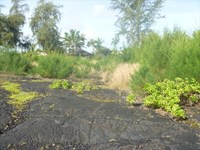 Hawaiian Vacant Lots-268646 Hawaiian Vacant Lots-268646