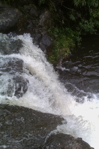 Environmental Preserve-1