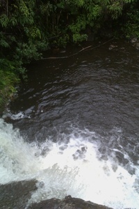 Environmental Preserve-2