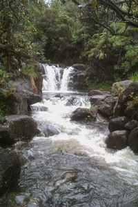 Environmental Preserve-3