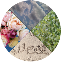 Finding the Best Diet for You (Hint: it's not about the calories!)-1 Finding the Best Diet for You (Hint: it's not about the calories!)-1