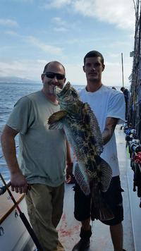 10.17.15 Rockfish Yellowtail Lingcod Channel islands-6