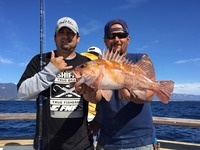 10.28.15 Good Fishing up the Santa Barbara Coast Morro Bay Avila-3