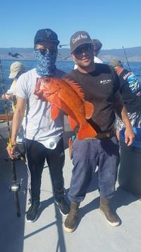 10.30.15 limits up the line-1