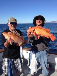 10.30.15 limits up the line-6