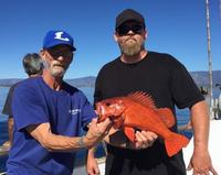 10.31.15 Good 1/2 day fishing-7