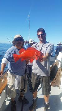 10.31.15 Rockfish Limits out of Santa Barbara-2