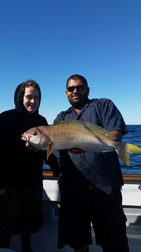 11.5.15 Lingcod Limits Channel Islands-1